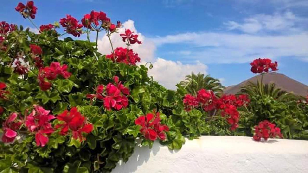 Villa Cozy House In El Golfo + Terrace Extérieur photo